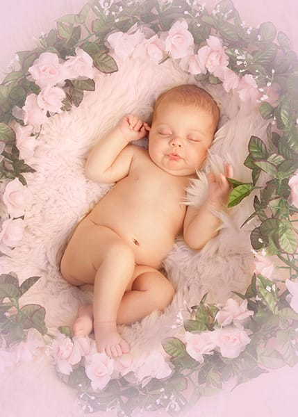 Lily 429 x 600