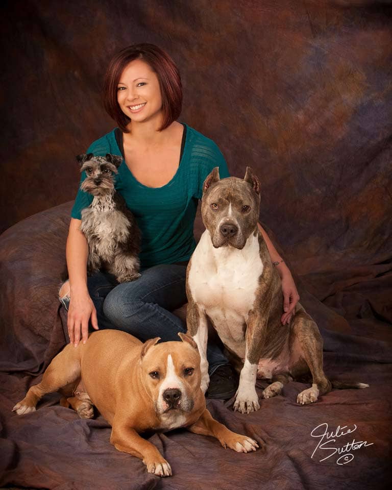 woman-pitbills-schnauzer